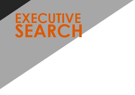 EXECUTIVE SERACH